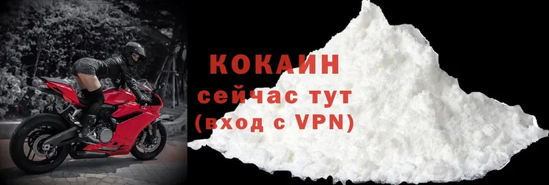 Cocaine FishScale  где найти   Знаменск 